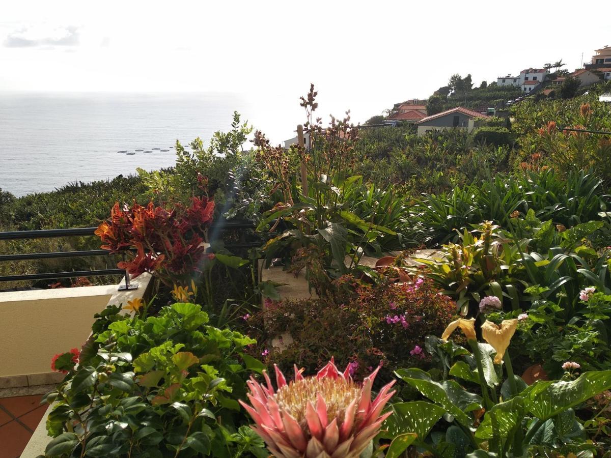 Jardim Do Arco "Esmee" Lägenhet Arco da Calheta  Exteriör bild