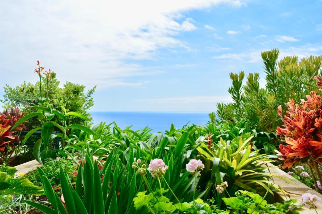 Jardim Do Arco "Esmee" Lägenhet Arco da Calheta  Exteriör bild