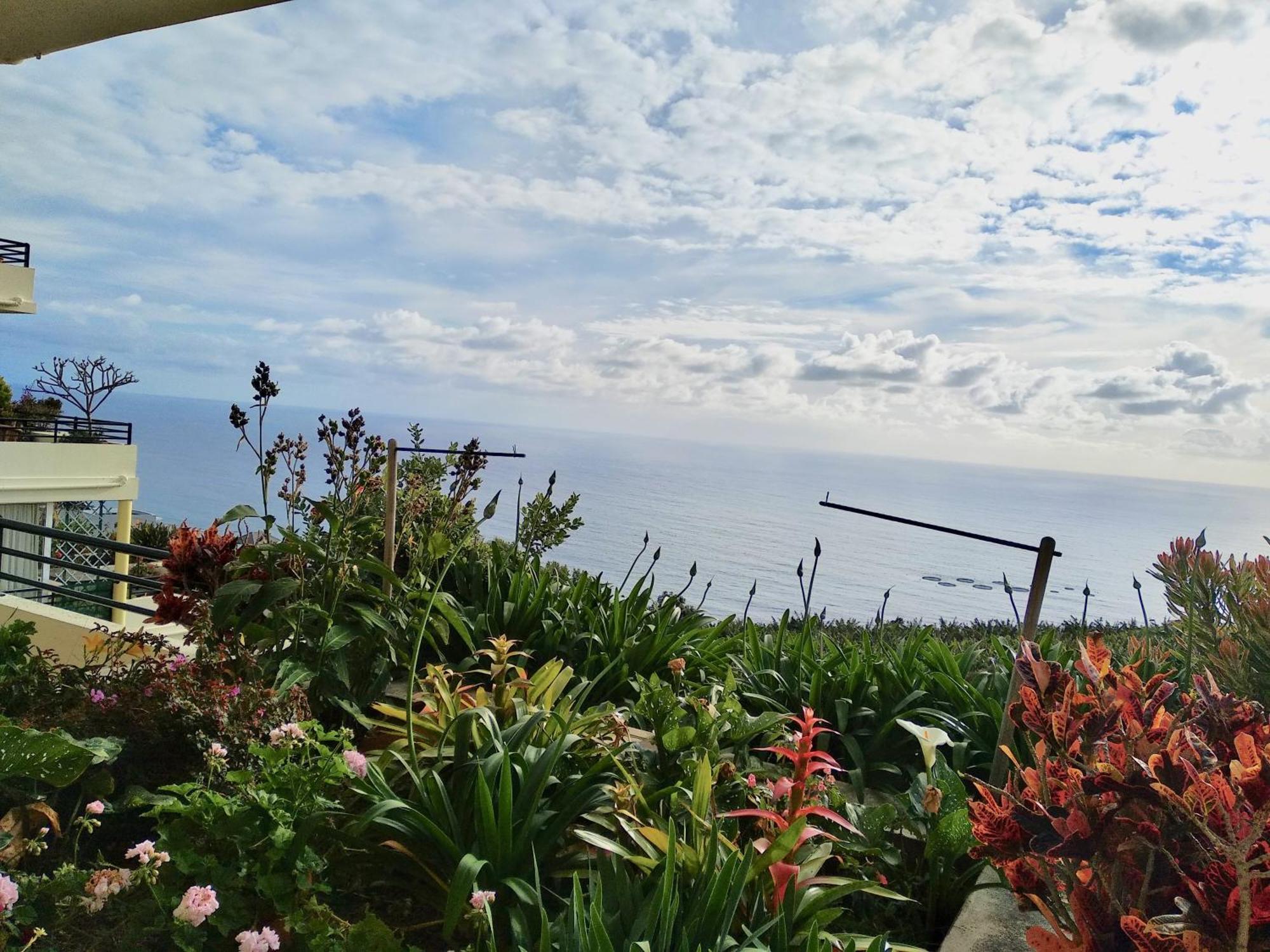 Jardim Do Arco "Esmee" Lägenhet Arco da Calheta  Exteriör bild